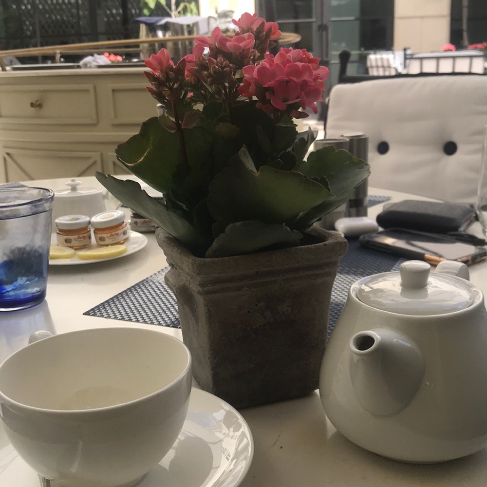 Meet your Posher, Sunday